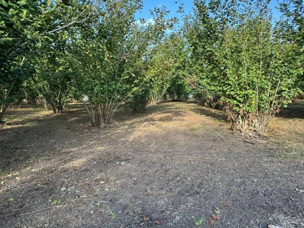 terreno agricolo in vendita a Boscoreale in zona Chiesa della Giuliana