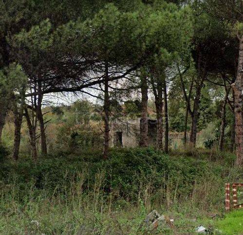 terreno agricolo in vendita a Boscotrecase
