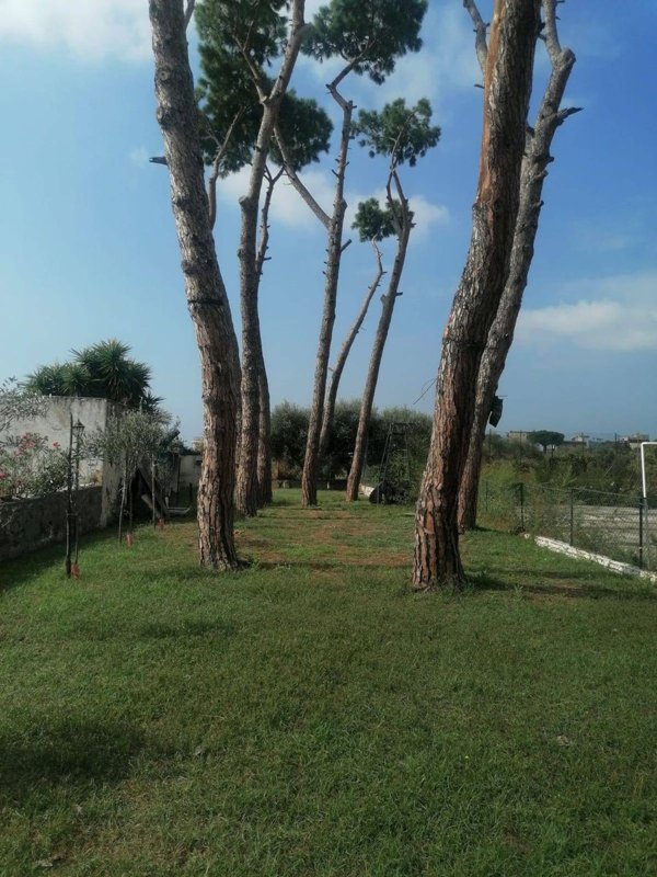 casa indipendente in vendita a Boscotrecase