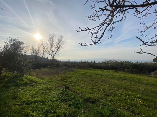 terreno agricolo in vendita a Boscotrecase