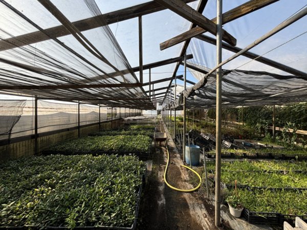 terreno in vendita a Boscotrecase