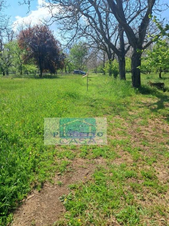 terreno agricolo in vendita a Brusciano