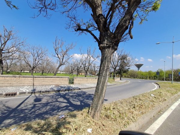 terreno agricolo in vendita a Brusciano