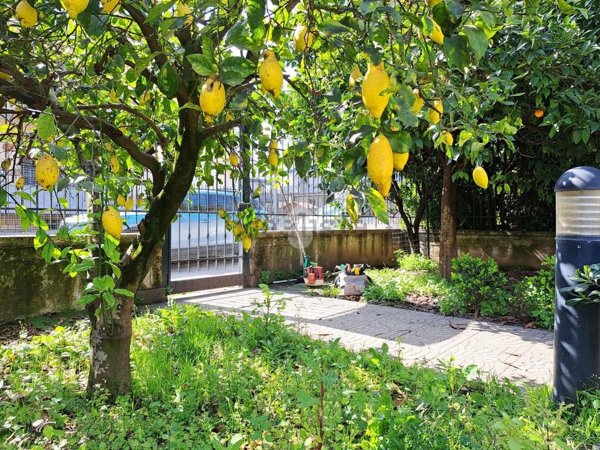 casa indipendente in vendita a Brusciano