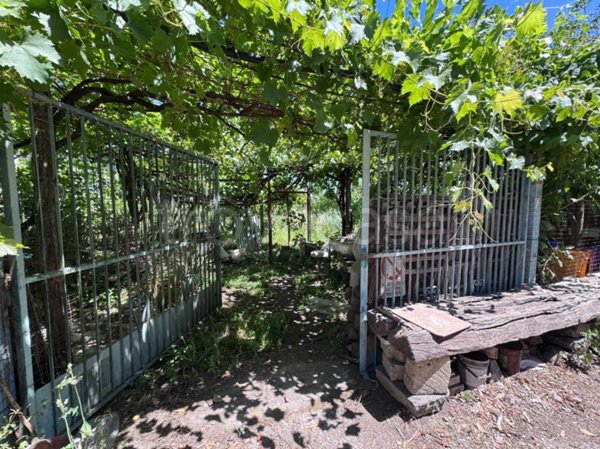 terreno agricolo in vendita a Brusciano in zona De Ruggiero