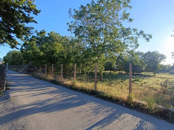 terreno agricolo in vendita a Brusciano