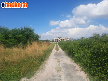 terreno agricolo in vendita a Caivano