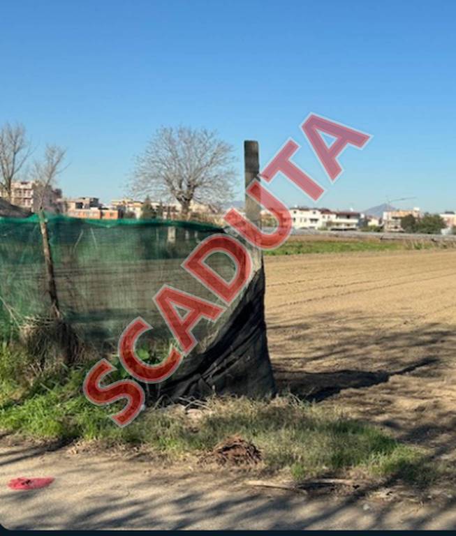 terreno agricolo in vendita a Caivano
