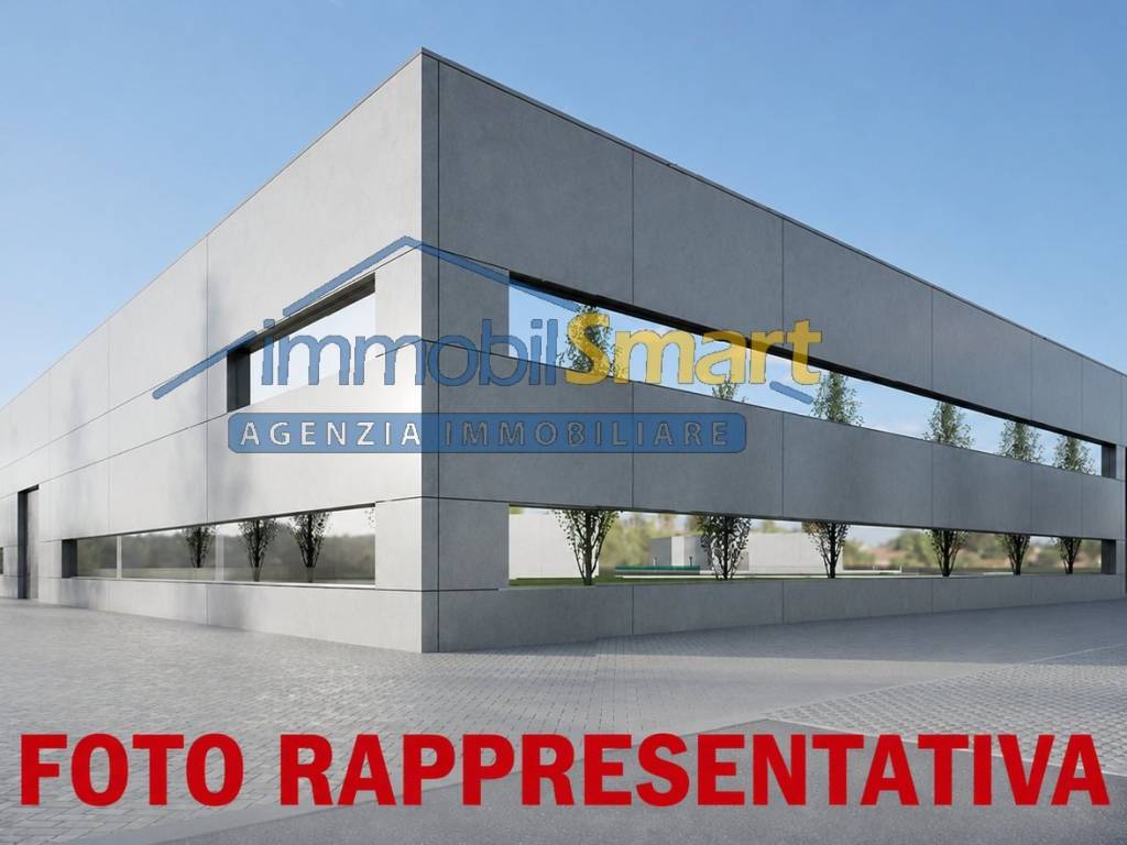 immagine annuncio 0 di 5