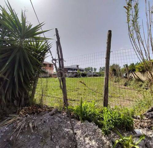 terreno agricolo in vendita a Calvizzano