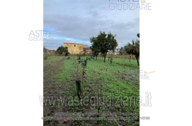 terreno agricolo in vendita a Calvizzano