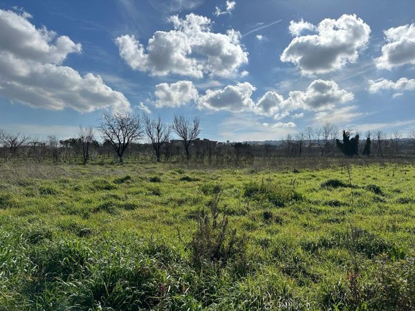 terreno agricolo in vendita a Calvizzano in zona San Pietro