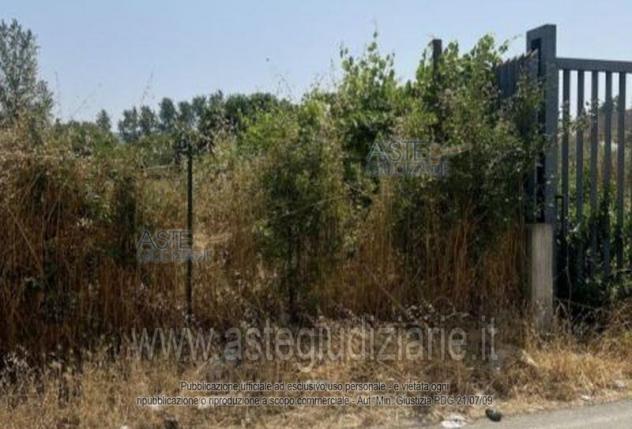 terreno agricolo in vendita a Calvizzano
