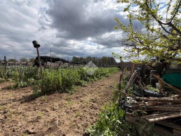terreno agricolo in vendita a Calvizzano