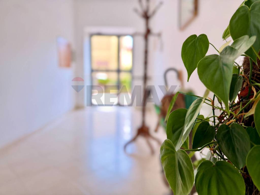 appartamento in vendita a Calvizzano