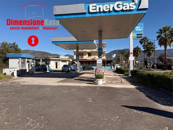 immagine annuncio 0 di 7