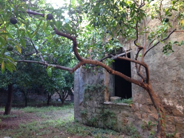 casa indipendente in vendita a Camposano