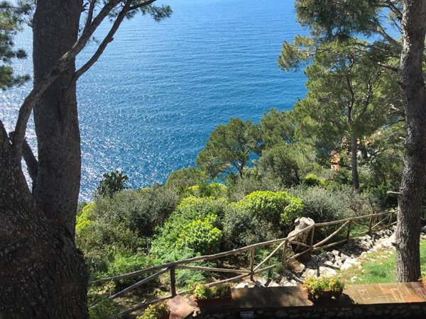 casa semindipendente in vendita a Capri in zona Marina Grande