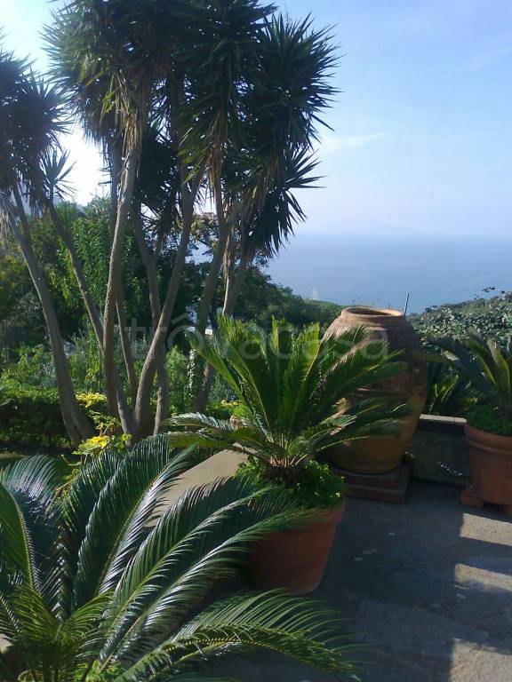 casa indipendente in vendita a Capri