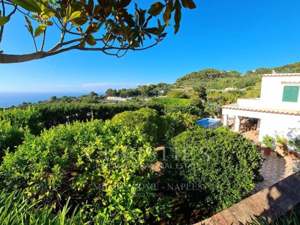 casa indipendente in vendita a Capri