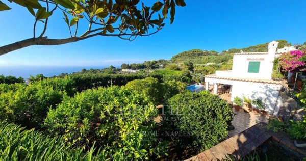 casa indipendente in vendita a Capri