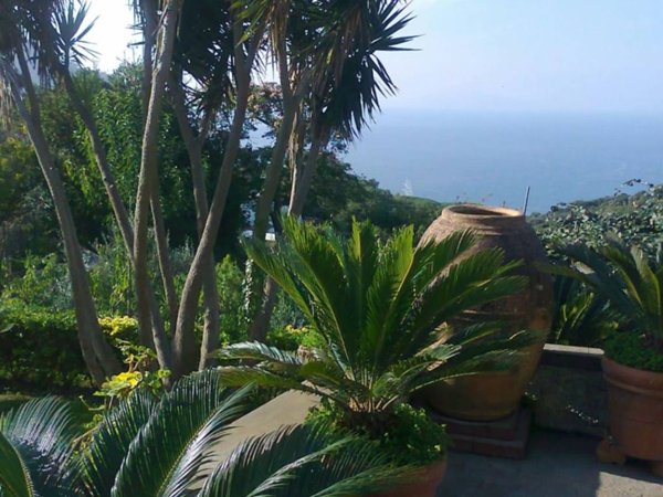 casa indipendente in vendita a Capri