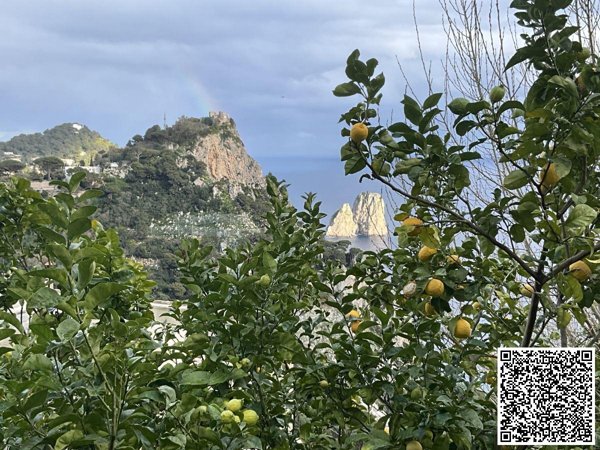 casa indipendente in vendita a Capri