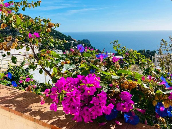 casa indipendente in vendita a Capri