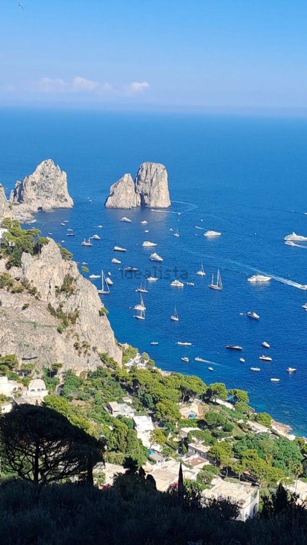 terreno agricolo in vendita a Capri in zona Marina Piccola