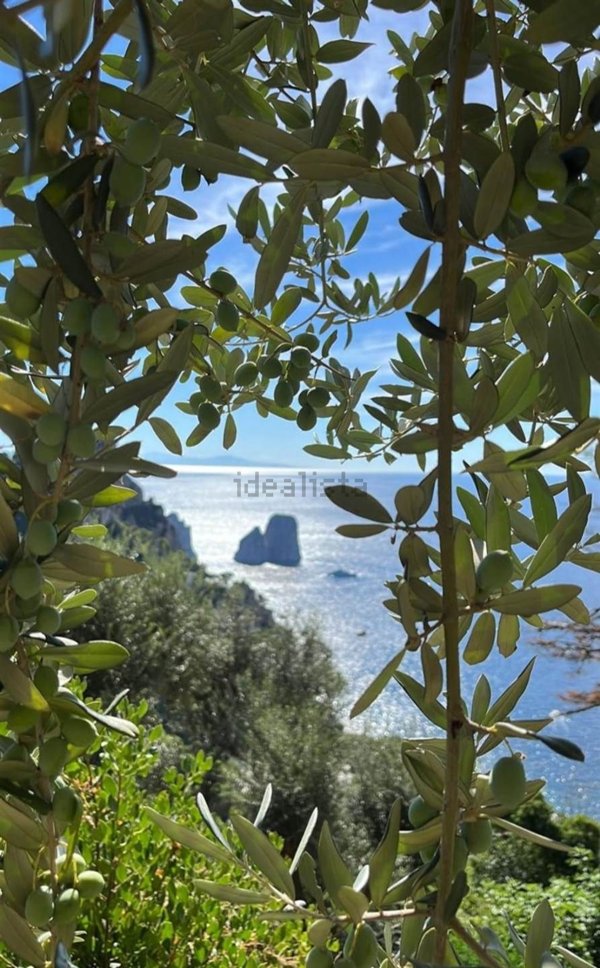 casale in vendita a Capri in zona Marina Piccola