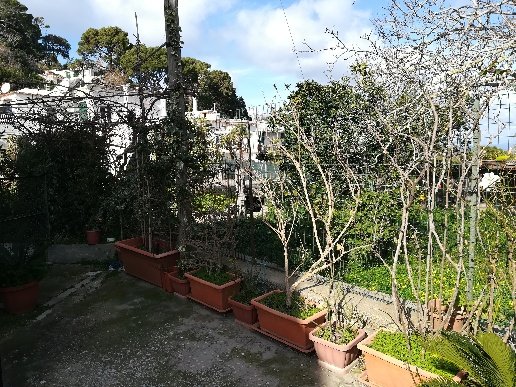appartamento in vendita a Capri