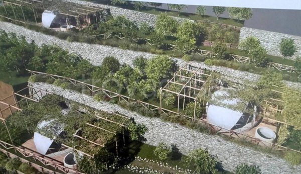 terreno agricolo in vendita a Capri in zona Marina Piccola