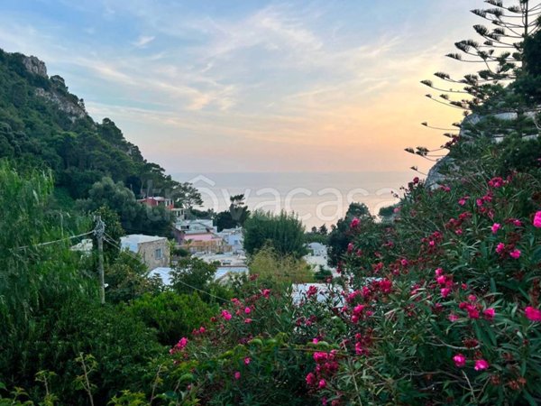 appartamento in vendita a Capri
