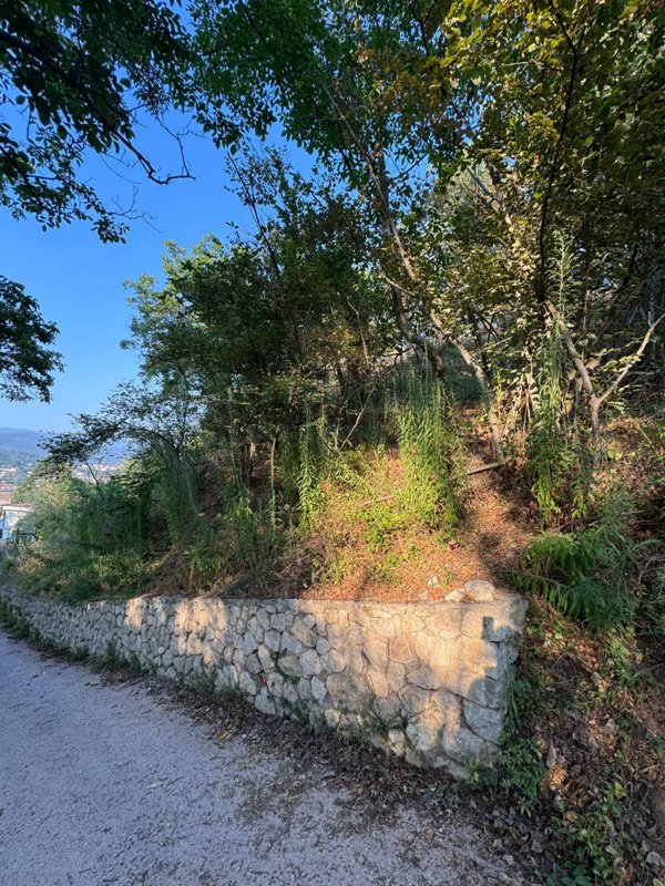 terreno agricolo in vendita a Carbonara di Nola