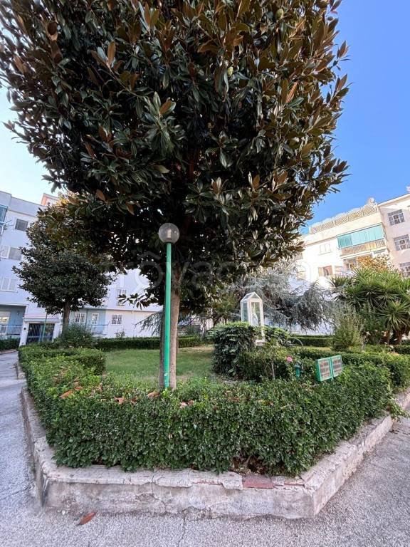 appartamento in vendita a Cardito