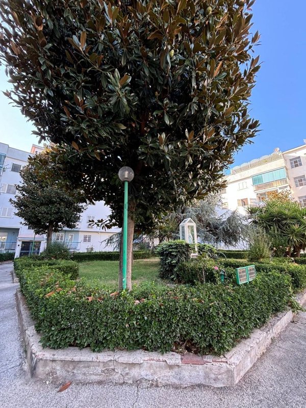 appartamento in vendita a Cardito