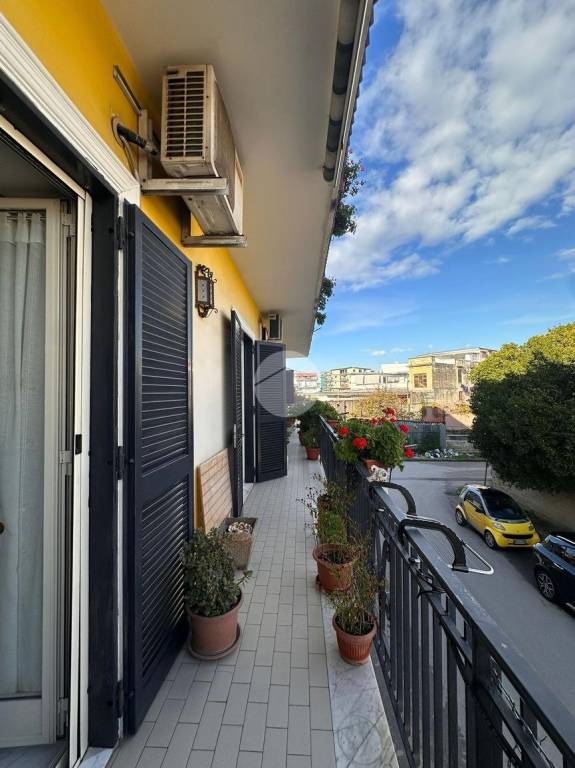 immagine annuncio 0 di 12