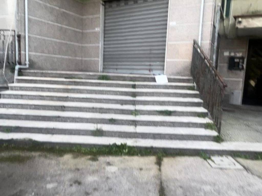 immagine annuncio 0 di 5