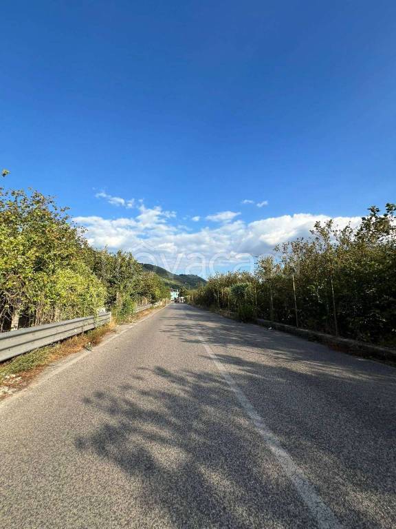 terreno agricolo in vendita a Casamarciano