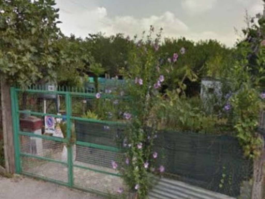 terreno agricolo in vendita a Casamarciano