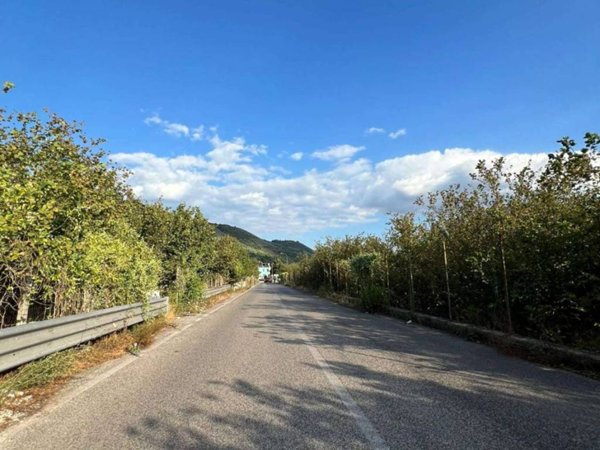 terreno agricolo in vendita a Casamarciano