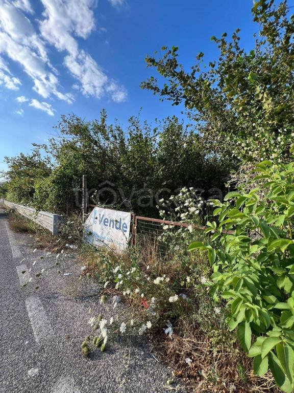 terreno agricolo in vendita a Casamarciano