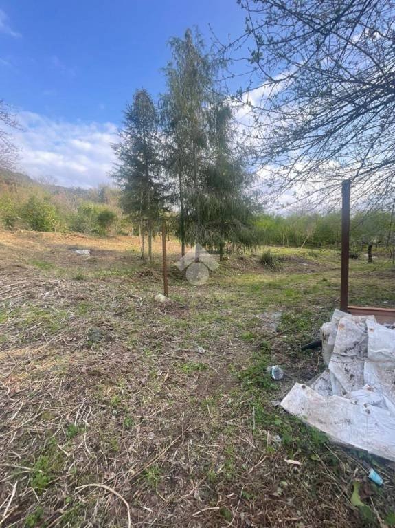 terreno agricolo in vendita a Casamarciano