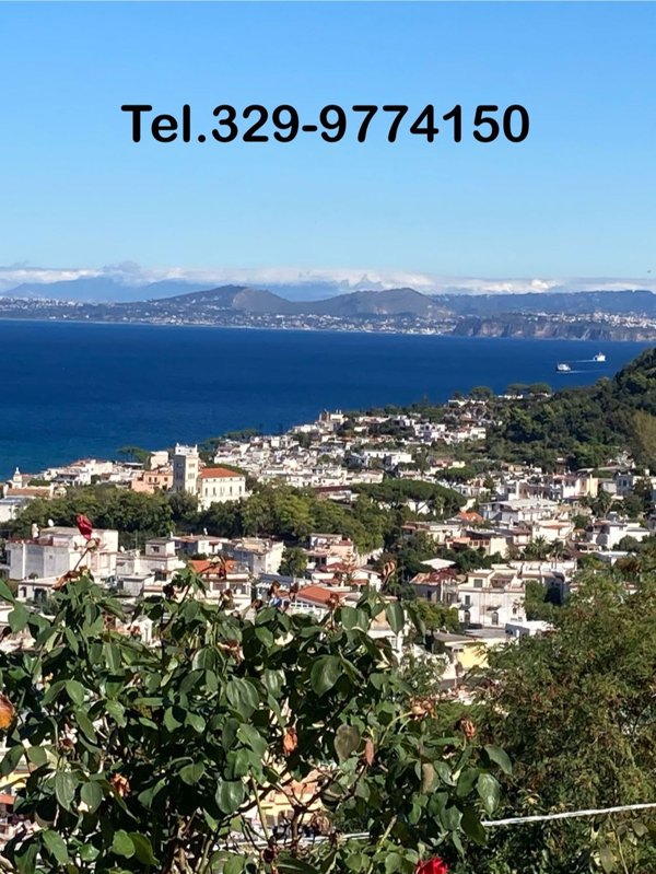 appartamento in vendita a Casamicciola Terme