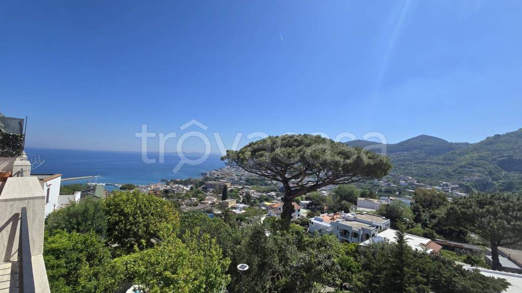 appartamento in vendita a Casamicciola Terme