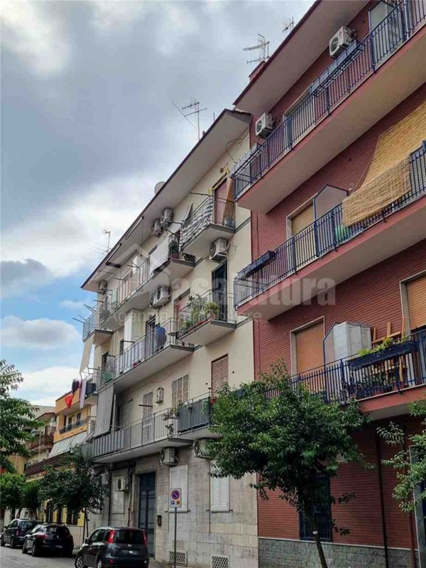 appartamento in vendita a Casavatore