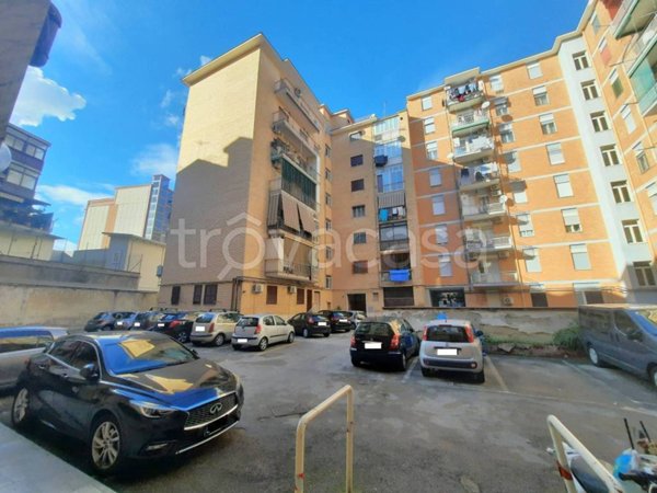 appartamento in vendita a Casavatore