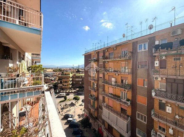 appartamento in vendita a Casavatore