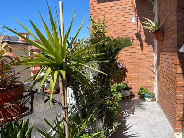 appartamento in vendita a Casoria in zona Arpino