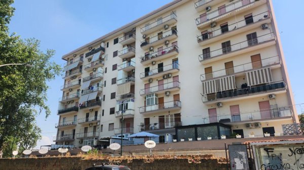 appartamento in vendita a Casoria
